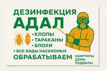 Дезинфекция дератизация дезинсекция