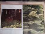 Продам иллюстративную книгу с фотографиями