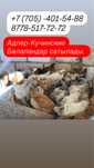 Балапандар Адлер-Кучин