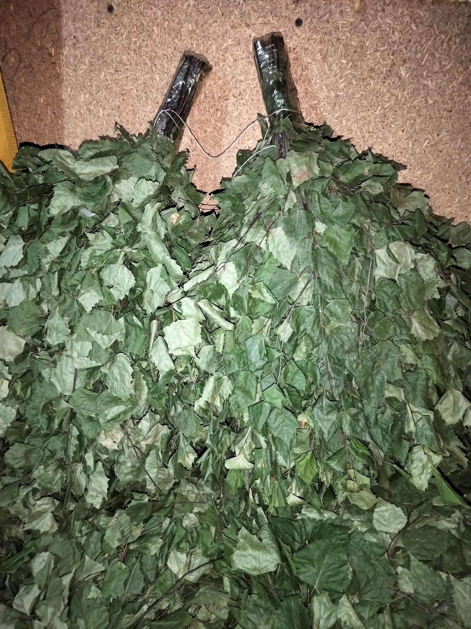 Продам берёзовые веники для бани
