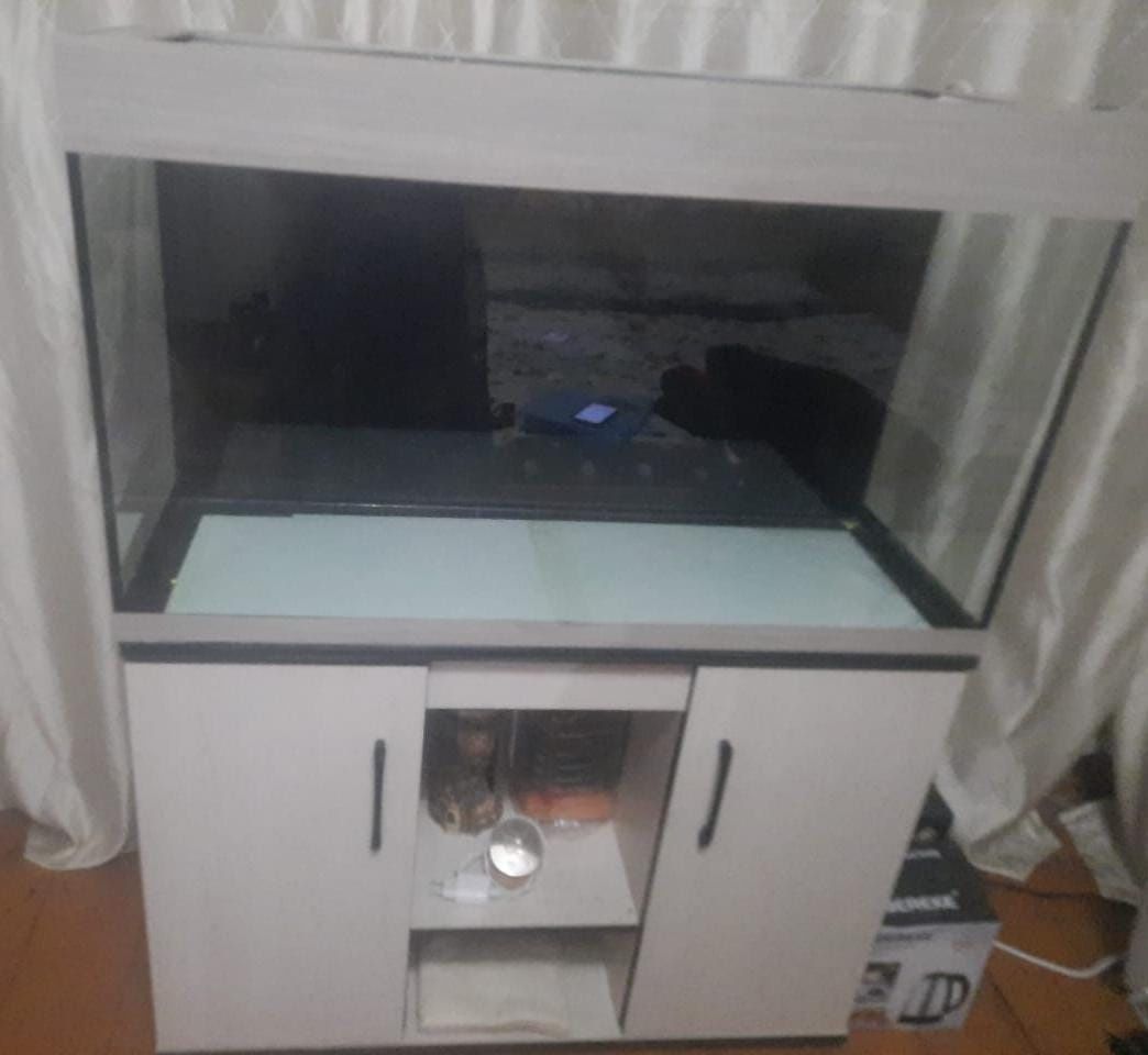 Продам аквариум с тумбочкой.