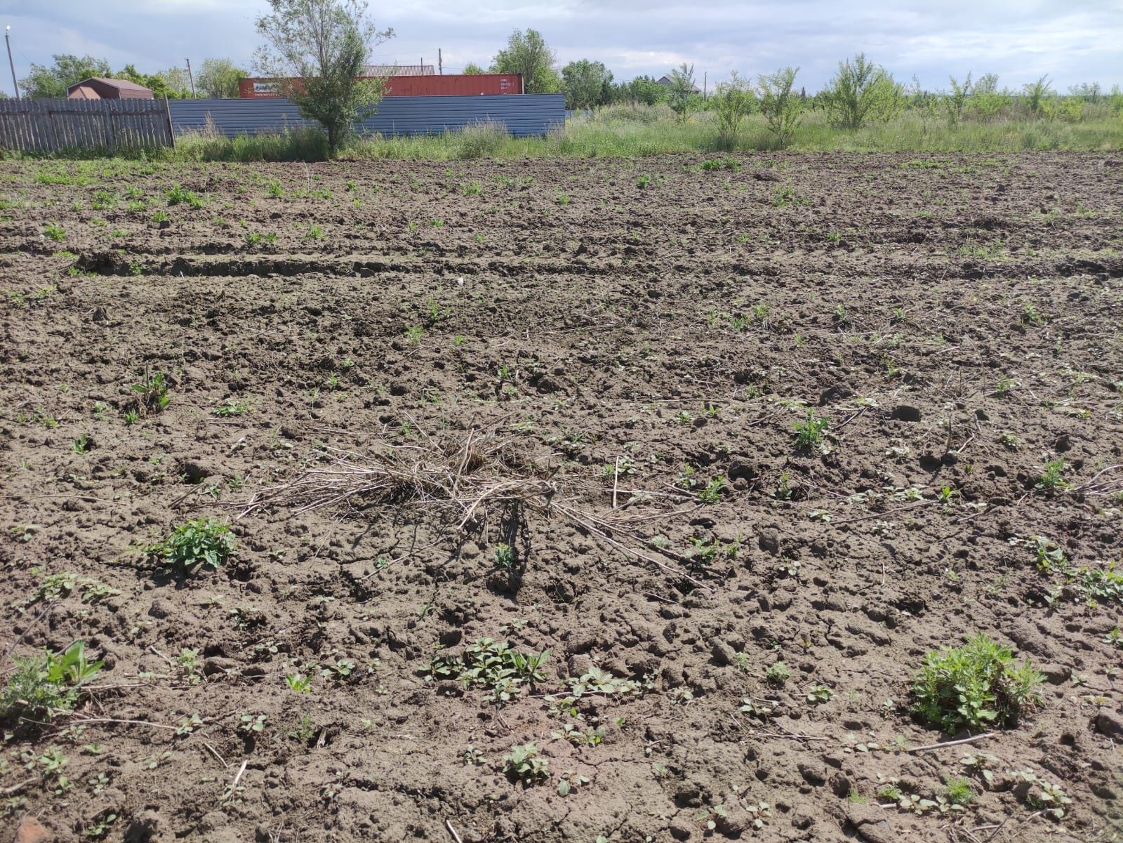 Продам участок 12 соток
