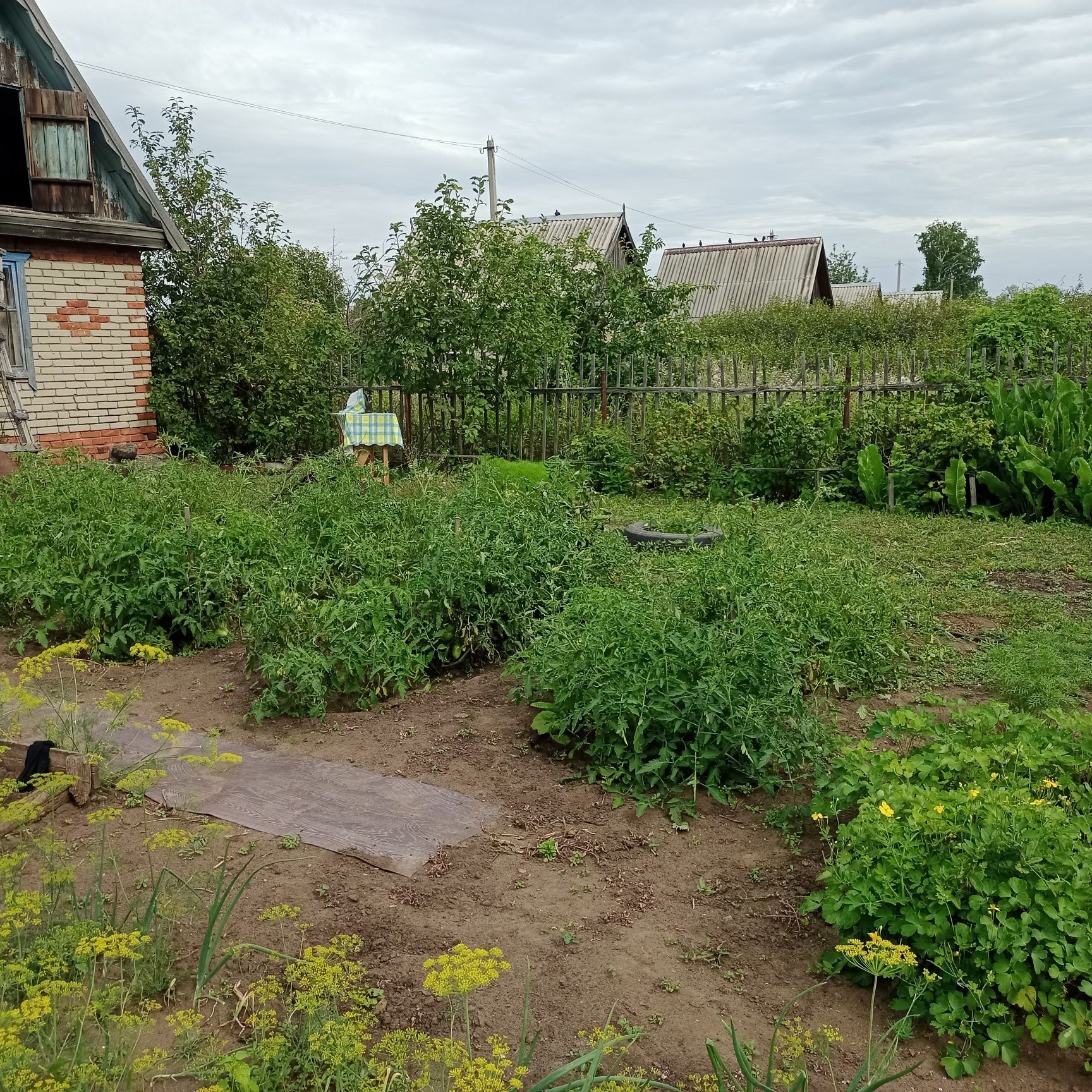 Продам дачу СО Элеваторщик