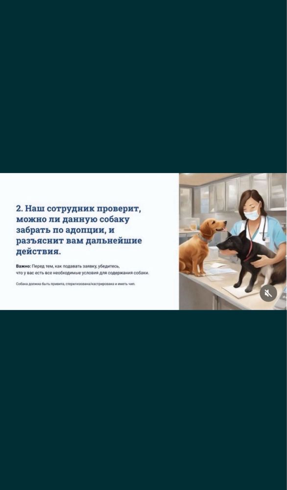 Собаки в дар. Породистые и дворняжки. Адрес: Спасская 150/1.