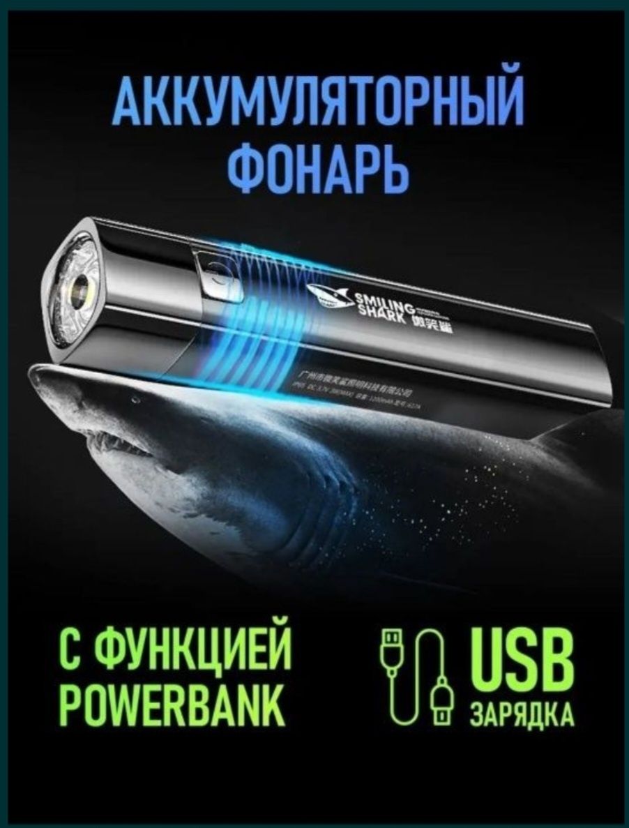 Фонарик аккумляторный, зарежается от сети.