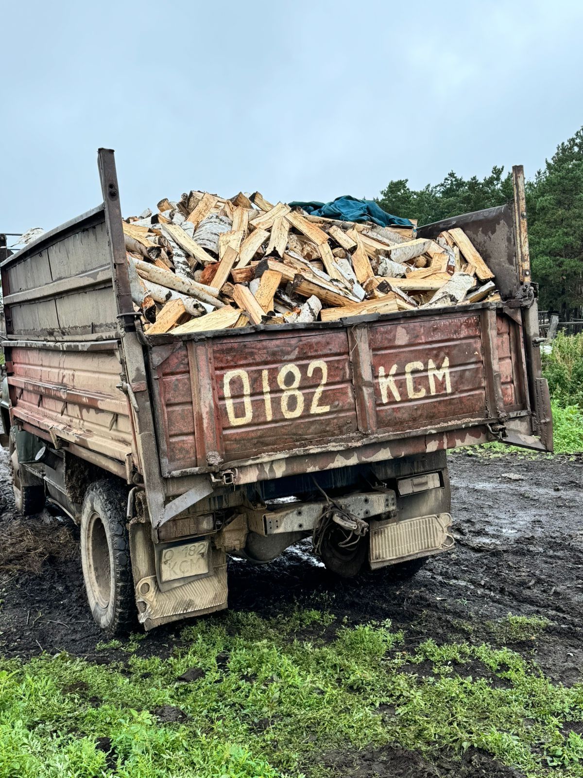 Дрова береза колотые