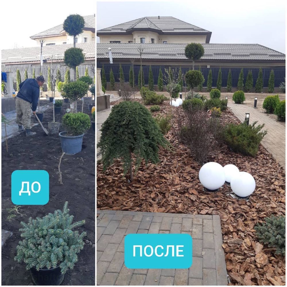 Ландшафтный дизайн, озеленение, посадка, пересадка,  благоустройства