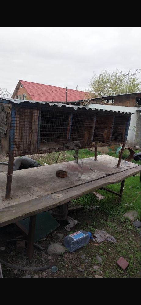 Клетка для кроликов