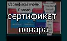 Свидетельство Квалификационного удостоверения диплом