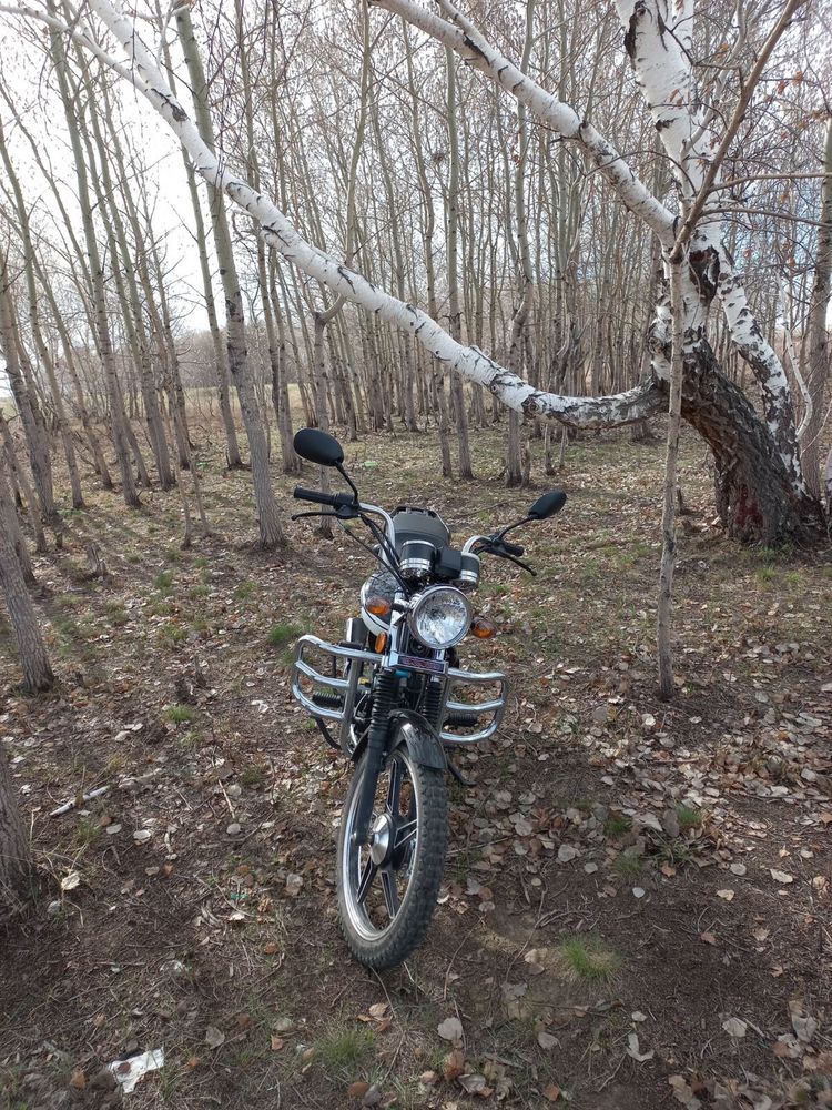 Продам  мопед  , Alpha rx в  хорошее состоянии