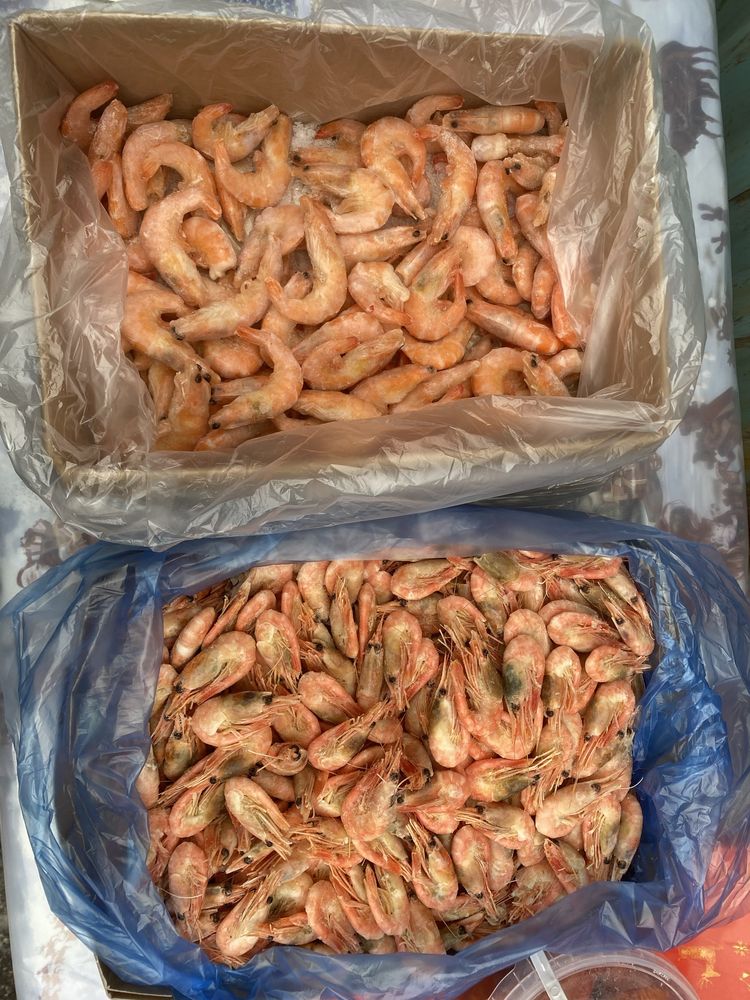 Живые раки, креветки, крабы