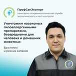 Уничтожение тараканов клопов крыс запахов плесени муравьев пауков