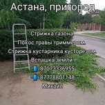 Стрижка газона, живой изгороди, покос травы вспашка спил деревьев
