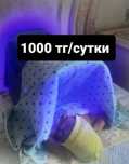 Лампа от желтушки у младенцев