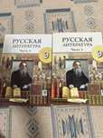 Книги Русская литература 9класс 1 часть