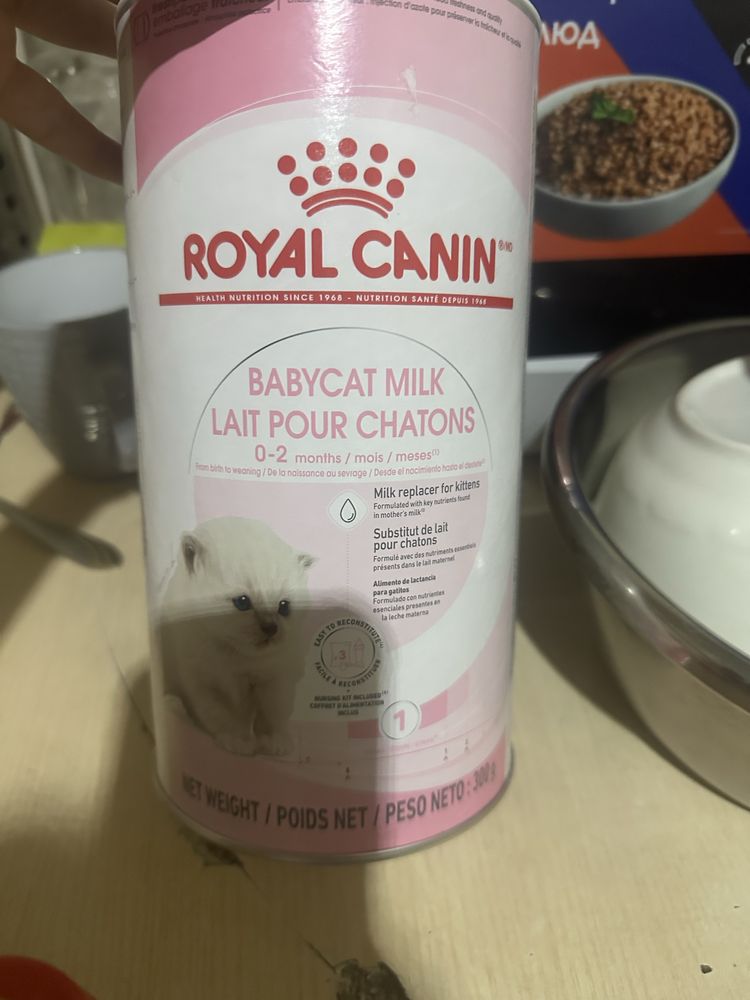 Смесь для кормления котят