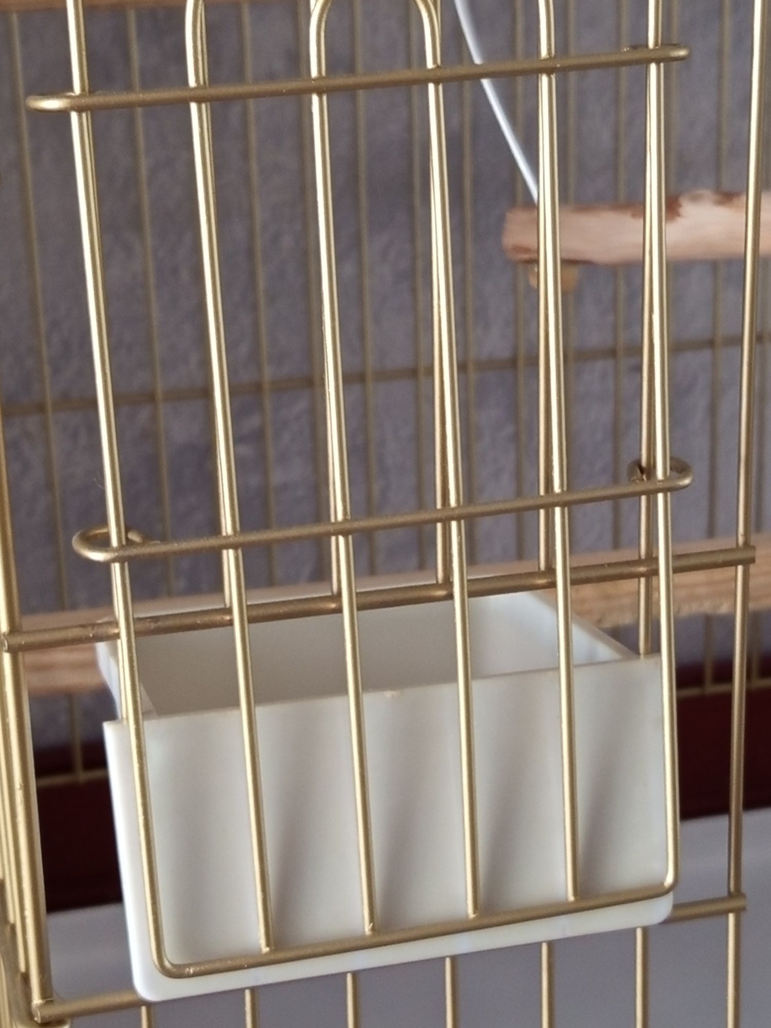 Продам большую клетку для содержания и крупных попугаев