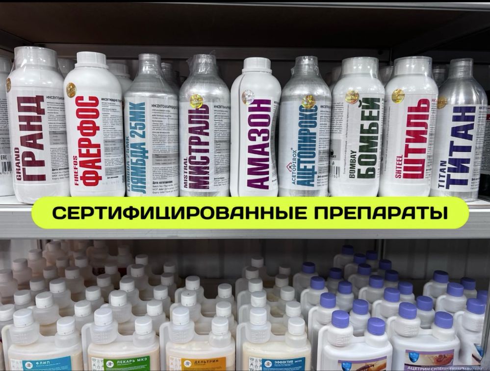 Дезинфекция клопов Тараканов жук короед блоха мышь тышқан қандала