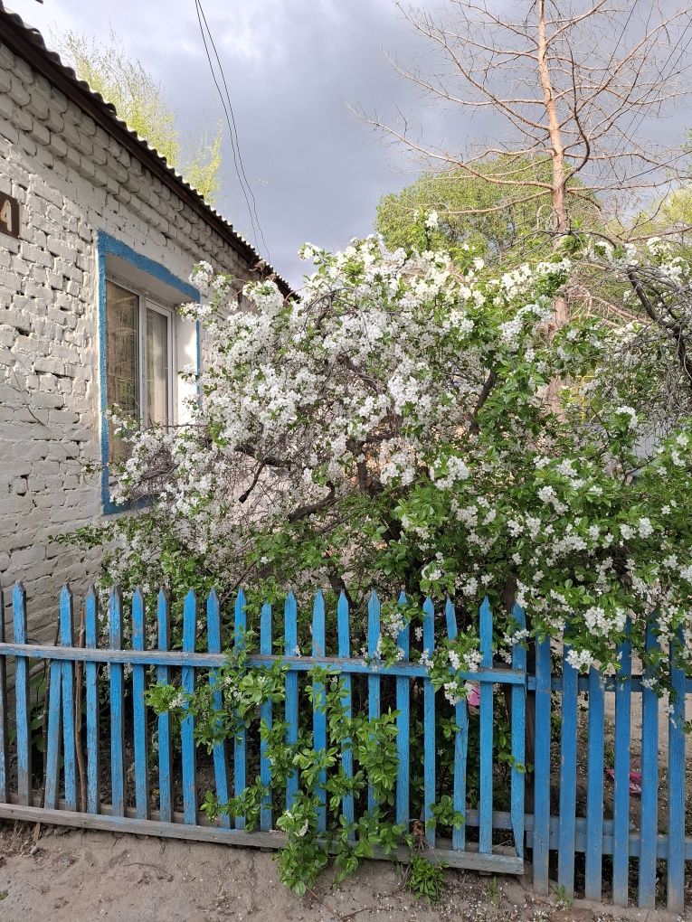 Продаётся дом за линей, где магазин Тамаша