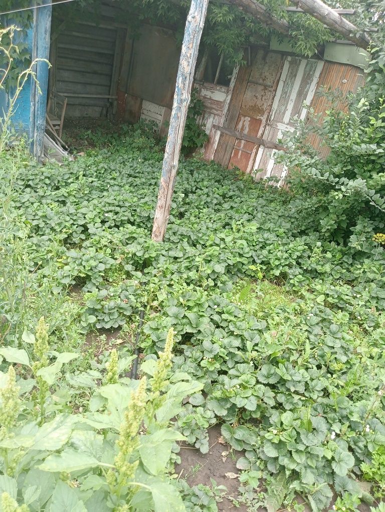 Продам дом в соцгороде