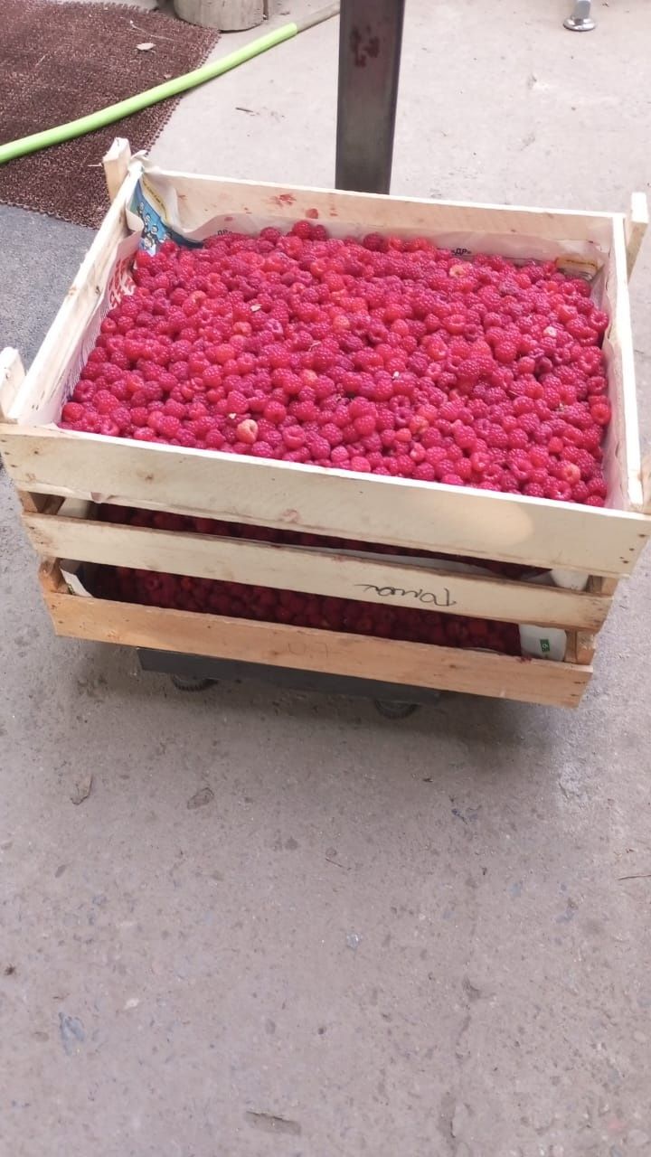 Малина Недорого Оптовая цена