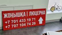 Элитная люцерна (Жонышка) голландская
