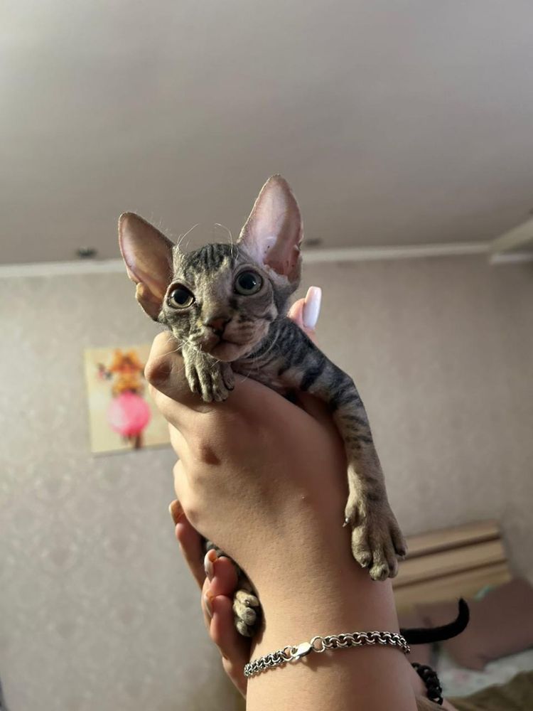 Донские малыши.