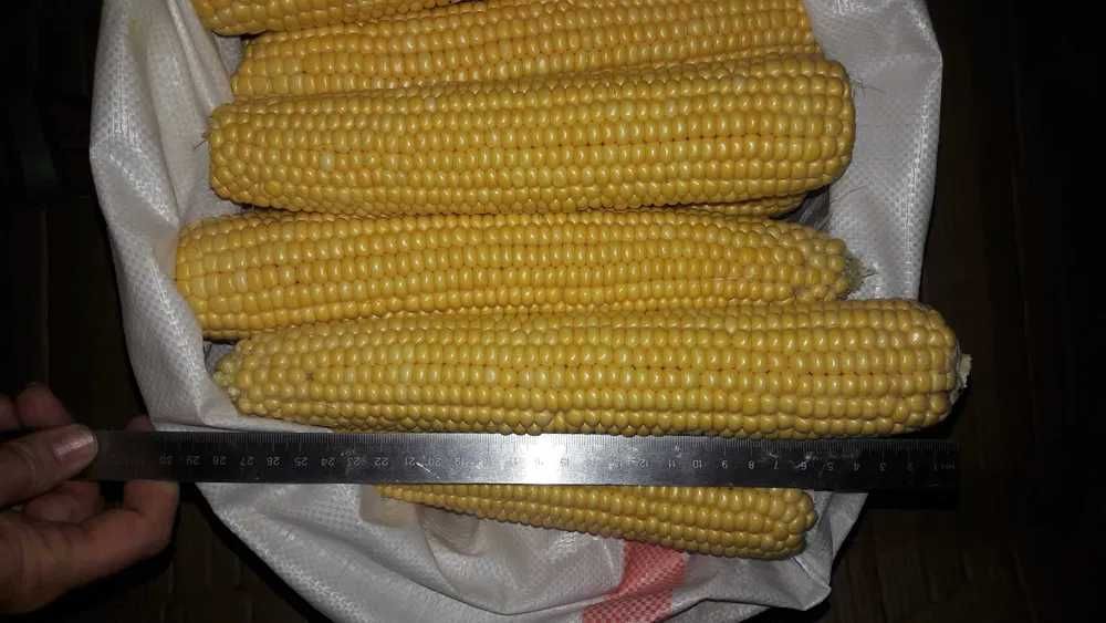 Кукуруза для варки, замороженные