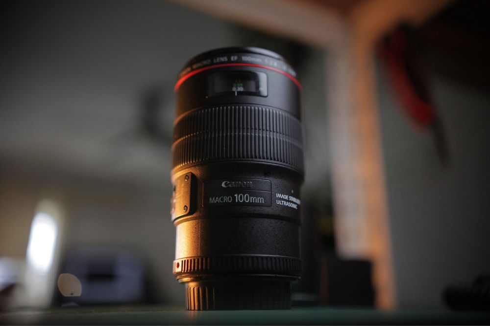 Canon 250D + макро объектив Canon 100 mm