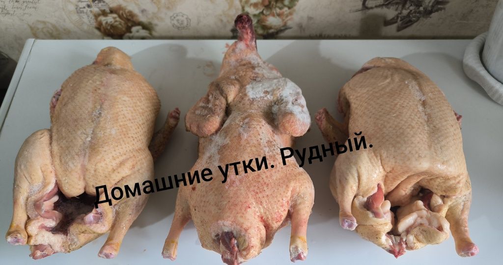 Продам домашнее сало