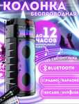 Беспроводная музыкальная колонка караоке