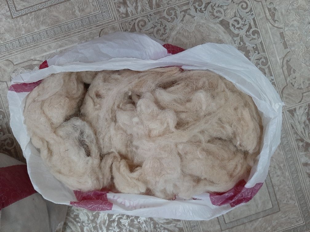 Вата (мақта), овечья шерсть (қойдын жүні)