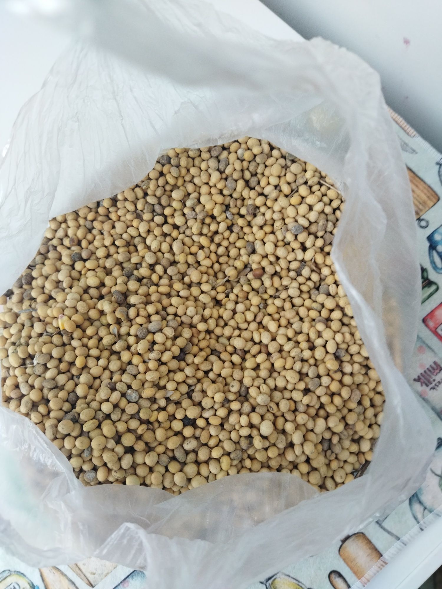 Продам Сою. Пищевую для производства много чего
