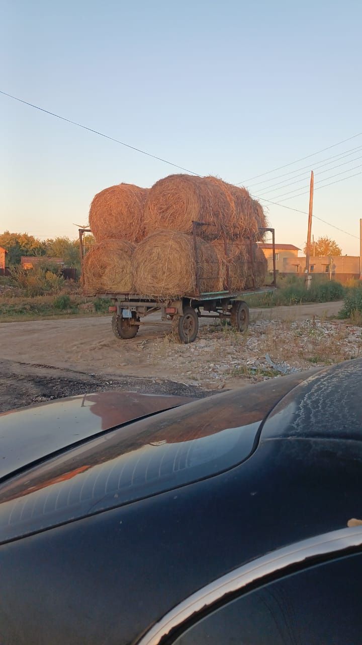 Продам сено в рулонах