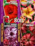 Цветы комнатные продам