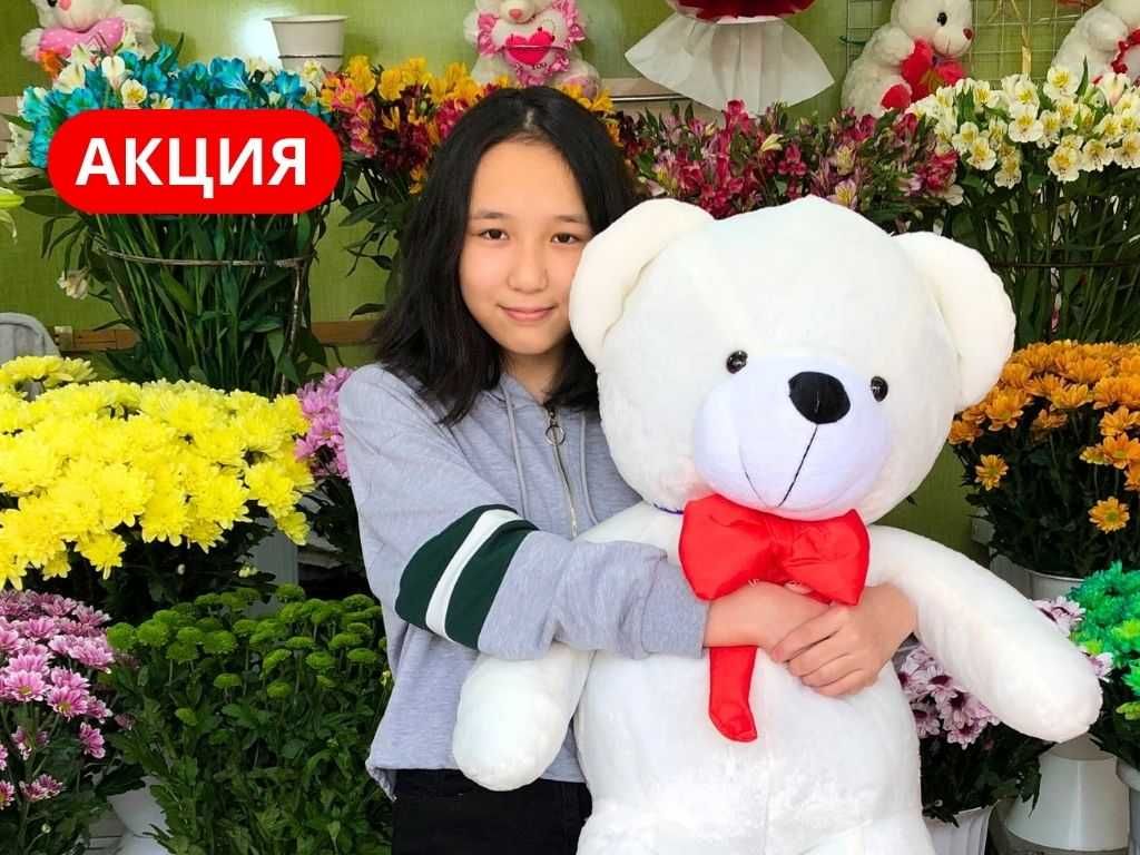 Мишки Мягкие Игрушки Плюшевые Подарки Цветы Букеты Айфон Самсунг