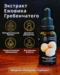 Экстракт Ежовик Гребенчатый