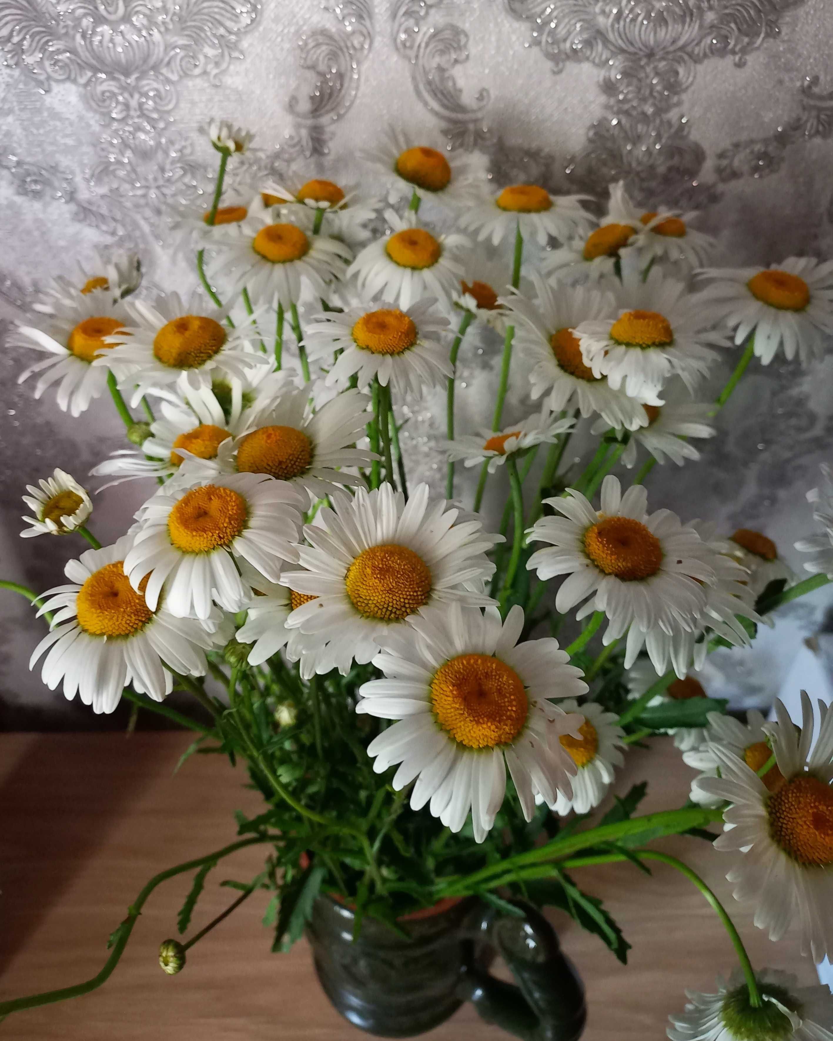 Многолетние цветы для посадки продам