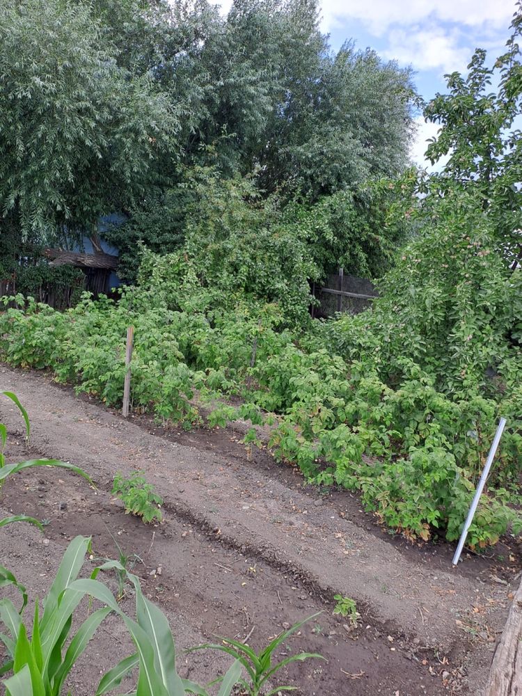 Продаеться дача в обществе Черемушки