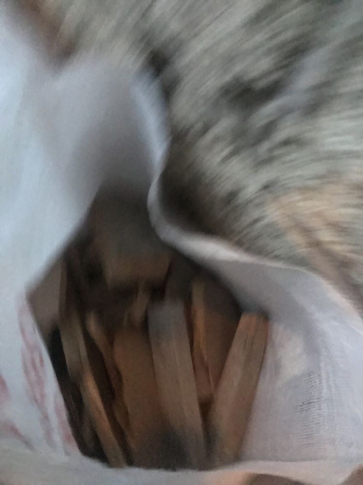 Дрова отын
