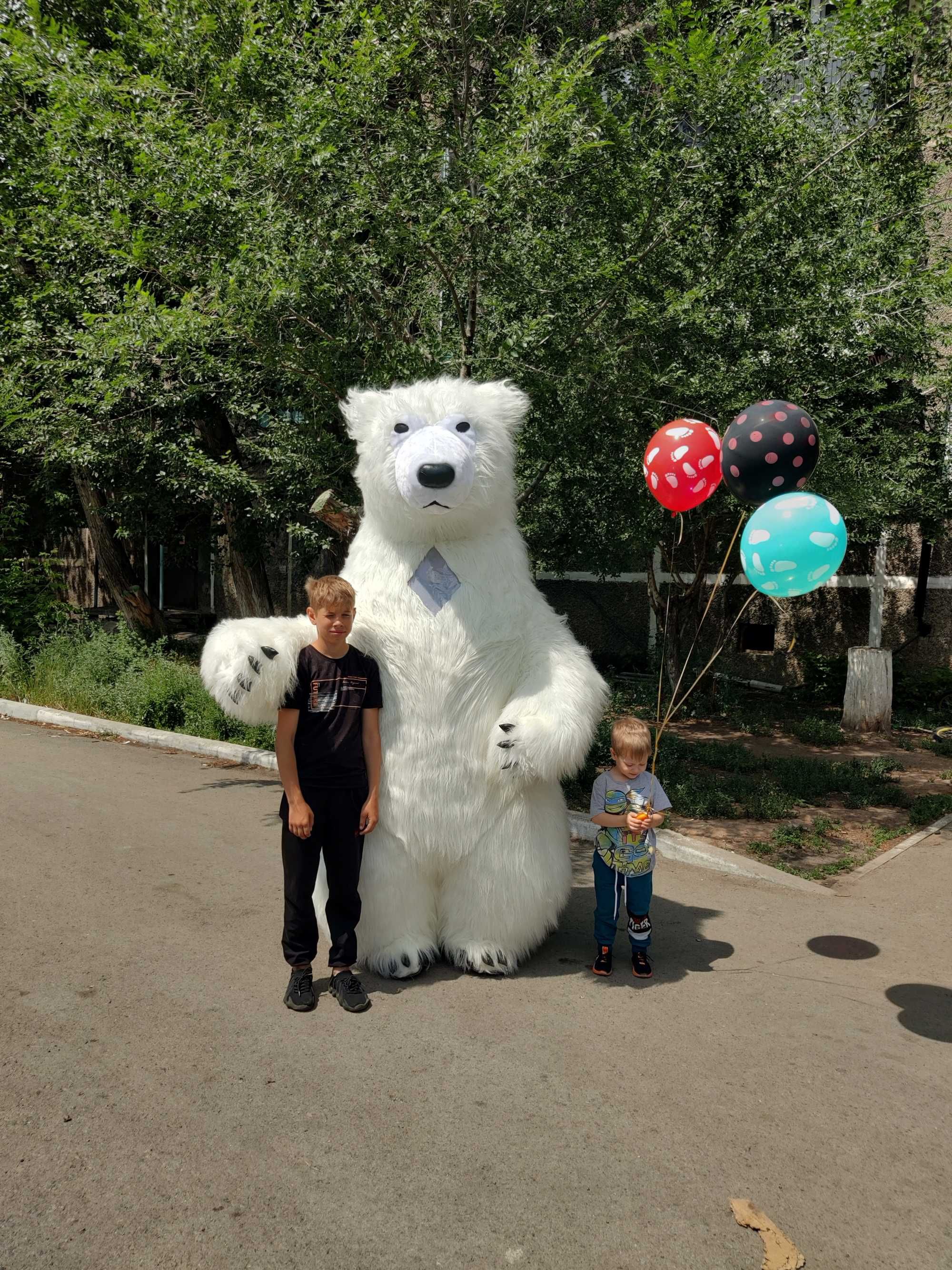 Медведь, белый мишка, Пушистик