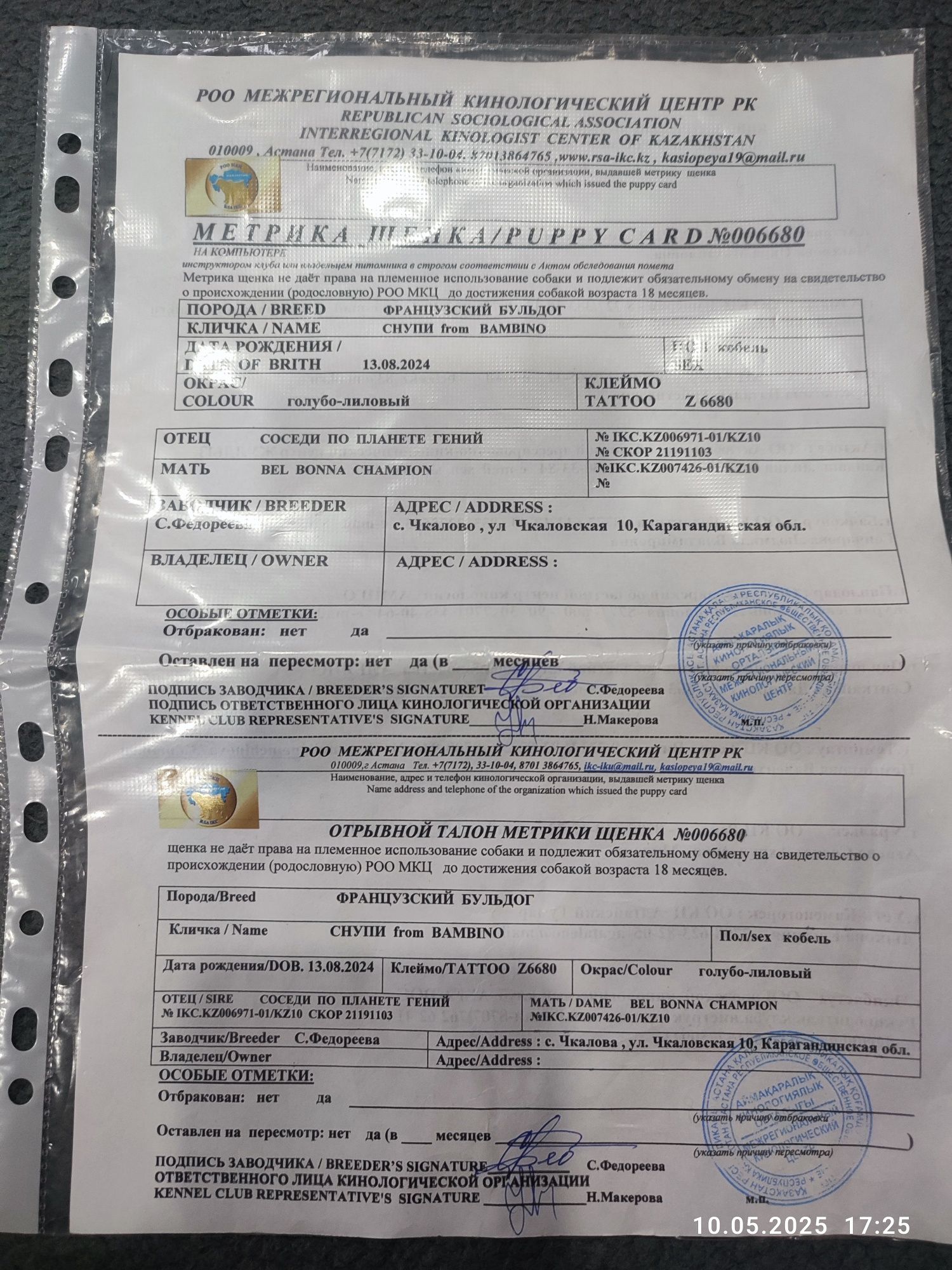 Продам срочно мальчика