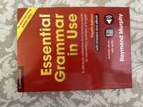 Essential gammar in use