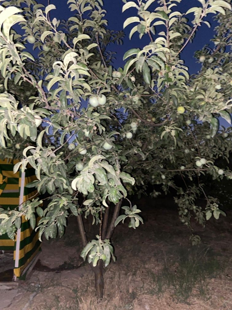 Үй сатылады тез арада.
