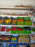 Продам готовый бизнес