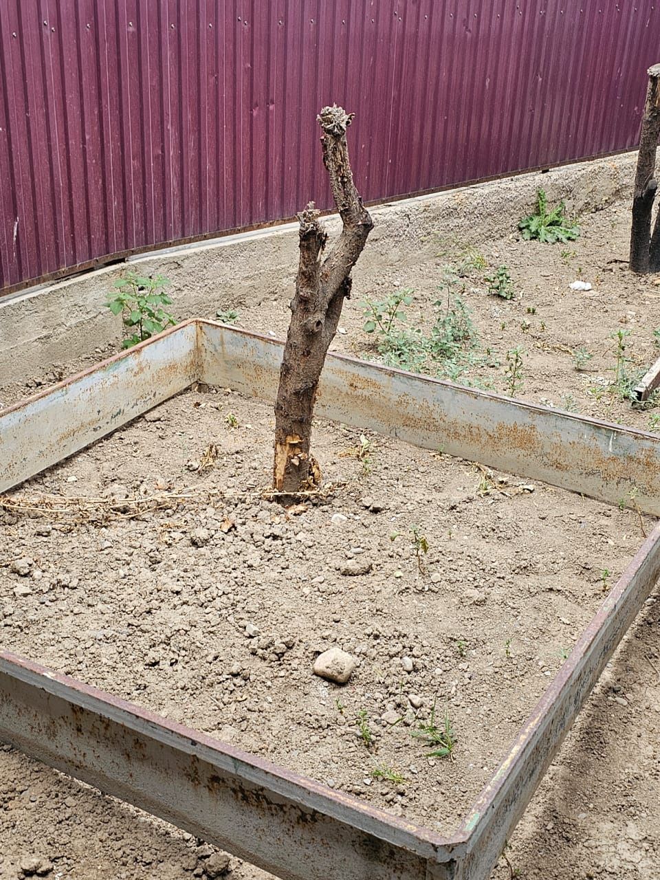 Детский Площядка
