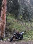 Suzuki Bandit 600