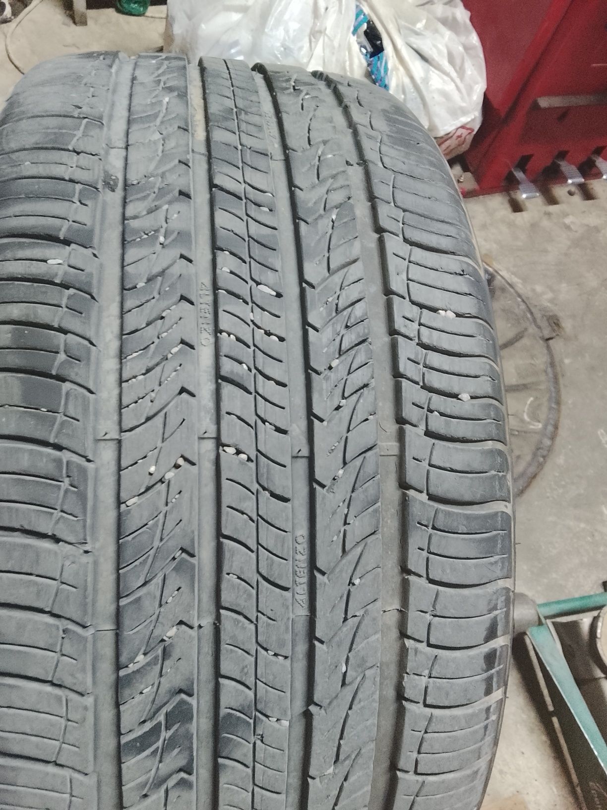 Продам пару болонов R20