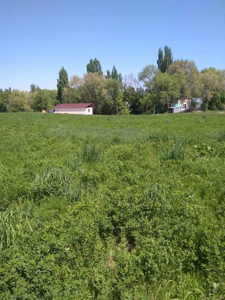 выгодное предложение, участок 6,2 гк,, торг !!!