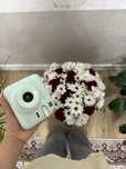 Fulifilm Instax mini 12